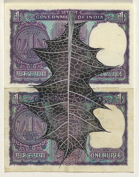 Artist: b'HALL, Fiona' | Title: b'Acanthus ilicifolius - Sea holly (Indian currency)' | Date: 2000 - 2002 | Technique: b'gouache' | Copyright: b'\xc2\xa9 Fiona Hall'