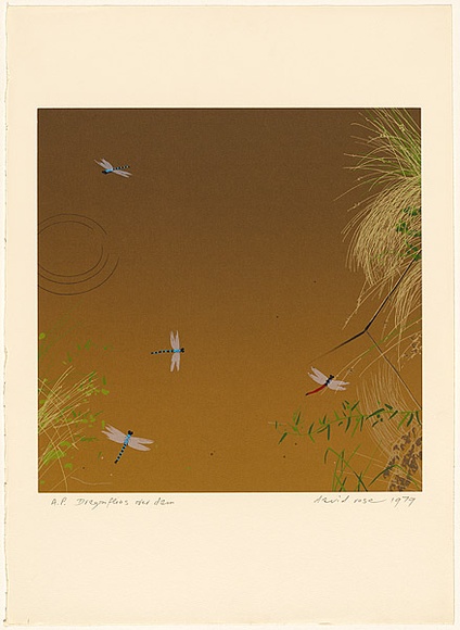Artist: b'ROSE, David' | Title: b'Dragonflies over dam' | Date: 1979 | Technique: b'screenprint, printed in colour, from multiple stencils'