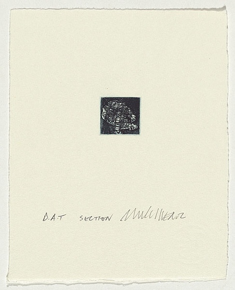 Artist: b'Cullen, Adam.' | Title: b'Section' | Date: 2002 | Technique: b'etching. printed in black ink, from one plate'