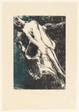 Artist: b'EWINS, Rod' | Title: b'[Cow skull].' | Date: 1967 | Technique: b'lithograph, printed in colour, from multiple stones [or plates]'