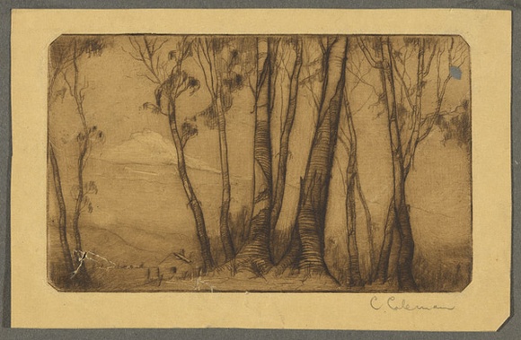 Artist: b'Coleman, Constance.' | Title: b'(Cottage amidst trees).' | Date: (1938) | Technique: b'aquatint and etching, printed in brown ink with plate-tone with wiped highlights, from one plate'