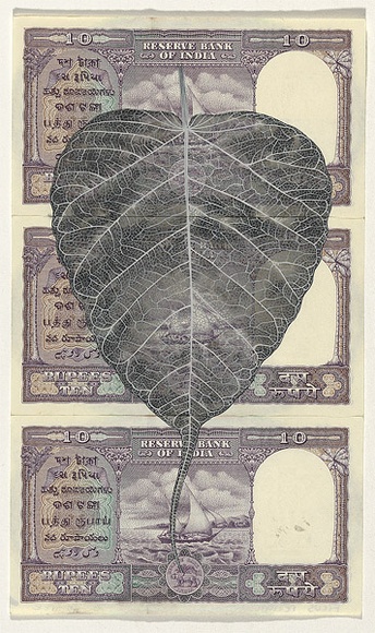 Artist: b'HALL, Fiona' | Title: b'Ficus religiosa - Bo tree (Indian currency)' | Date: 2000 - 2002 | Technique: b'gouache' | Copyright: b'\xc2\xa9 Fiona Hall'