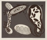 Artist: LEACH-JONES, Alun | Title: not titled [1] | Date: 1991 | Technique: etching, printed in black and grey ink, from two plates | Copyright: Courtesy of the artist