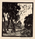 Artist: b'Reynolds, Frederick George.' | Title: b'(Trees in a landscape)' | Date: c.1929 | Technique: b'woodcut, printed in black ink, from one block'