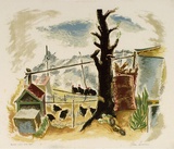 Artist: b'Sumner, Alan.' | Title: b'Chicken coop and tree' | Date: c.1946 | Technique: b'screenprint, printed in colour, from 14 stencils'