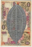 Artist: HALL, Fiona | Title: Cinnamomum verum - Cinnamon (Sri Lankan currency) | Date: 2000 - 2002 | Technique: gouache | Copyright: © Fiona Hall