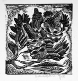 Artist: b'OGILVIE, Helen' | Title: b'Banksia' | Date: c.1942 | Technique: b'wood-engraving, printed in black ink, from one block'
