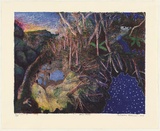 Artist: b'Robinson, William.' | Title: b'Blue pools' | Date: 2000 | Technique: b'lithograph, printed in colour, from ten stones [or plates]'