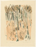 Artist: MACQUEEN, Mary | Title: Plantation | Date: 1972 | Technique: lithograph, printed in colour, from multiple plates | Copyright: Courtesy Paulette Calhoun, for the estate of Mary Macqueen