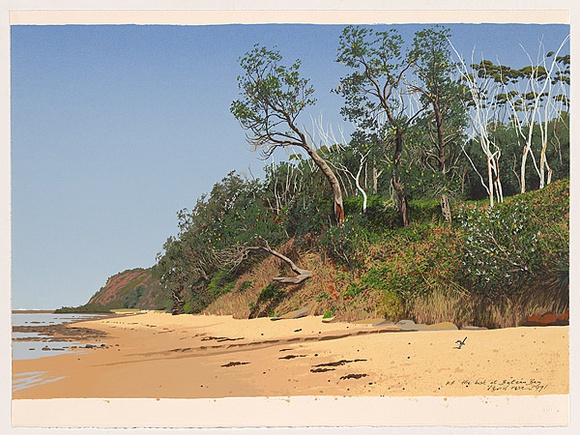 Artist: b'Rose, David.' | Title: b'The bush at Bateau Bay' | Date: 1991 | Technique: b'screenprint, printed in colour, from multiple stencils'