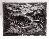 Artist: b'SHEARER, Mitzi' | Title: b'Curious eyes' | Date: 1981 | Technique: b'etching, printed in black ink, from one  plate'