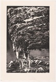 Artist: b'Macleod, Euan.' | Title: b'Smoking man.' | Date: 2007 | Technique: b'etching, aquatint and open-bite, printed in black ink, from one plate'