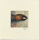 Artist: SCHMEISSER, Jorg | Title: Crab claw and red seals | Date: 1988 | Technique: etching and aquatint, printed in colour, from two plates | Copyright: © Jörg Schmeisser