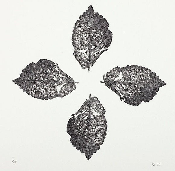 Artist: b'Atkins, Ros.' | Title: b'Leaves.' | Date: 2000 | Technique: b'wood-engraving, printed in black ink, from one block'