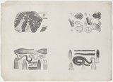 Artist: Hamel, Julius. | Title: Proof sheet of four images of reptiles, frogs and fossils. | Date: 1878 | Technique: lithograph, printed in black ink, from one stone