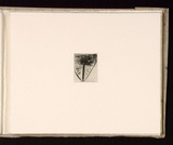 Artist: b'Mann, Gillian.' | Title: b'(Triangle within a rectangle).' | Date: 1981 | Technique: b'etching, printed in black ink, from one plate'