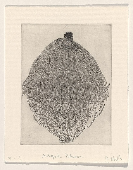 Artist: b'HALL, Fiona' | Title: b'Algal bloom' | Date: 1999, October | Technique: b'etching, printed in black ink, from one plate' | Copyright: b'\xc2\xa9 Fiona Hall'