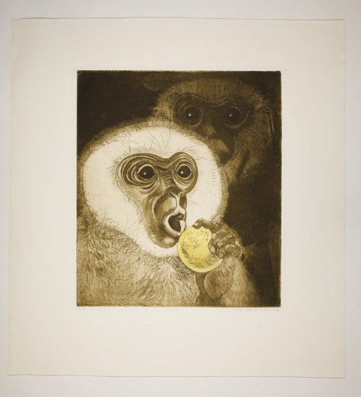 Artist: b'Haxton, Elaine' | Title: b'Sour' | Date: 1972 | Technique: b'open-bite etching and aquatint, roulette, hand-coloured'