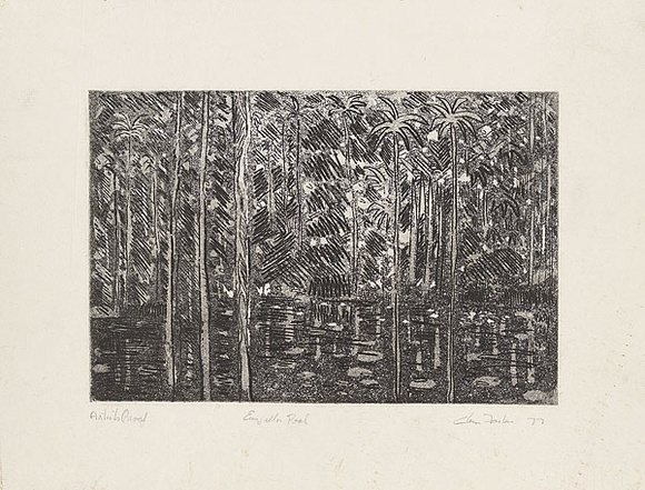 Artist: Forbes, Clem. | Title: Eunjella pool. | Date: 1977 | Technique: etching, printed in black ink, from one plate