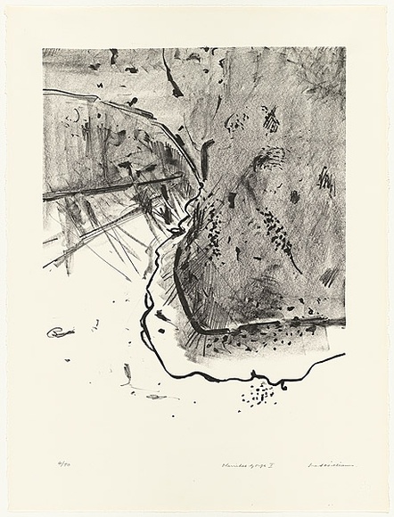Artist: b'WILLIAMS, Fred' | Title: b'Werribee Gorge I' | Date: 1977-78 | Technique: b'lithograph, printed in black ink, from one plate' | Copyright: b'\xc2\xa9 Fred Williams Estate'