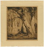Artist: b'van RAALTE, Henri' | Title: b'Banks and boles' | Date: 1920 | Technique: b'drypoint, printed in brown ink with plate-tone, from one plate'