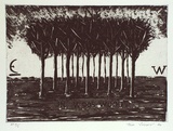 Artist: b'Jones, Tim.' | Title: bIn Woo's wood | Date: 1994 | Technique: b'etching and aquatint, printed in black ink, from one plate'