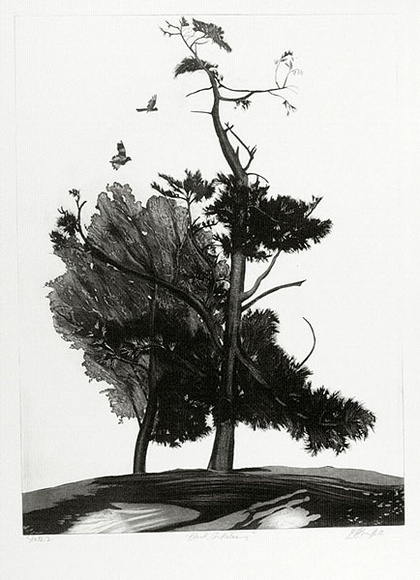 Artist: b'GRIFFITH, Pamela' | Title: b'Black cockatoos' | Date: 1981 | Technique: b'etching, aquatint, burnishing printed in black ink, from one zinc plate' | Copyright: b'\xc2\xa9 Pamela Griffith'