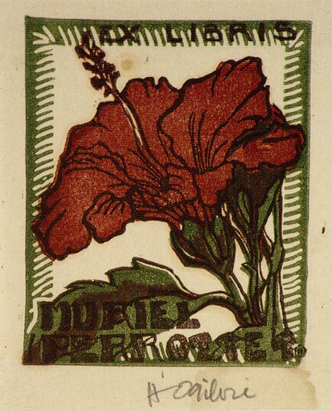 Artist: b'OGILVIE, Helen' | Title: b'not titled [Hibiscus flower].' | Date: c.1944 | Technique: b'linocut, printed in colour, from multiple blocks'