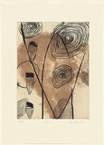 Artist: b'Watson, Judy.' | Title: b'pool' | Date: 1998, July | Technique: b'etching and lift ground aquatint, printed in colour, from two copper plates' | Copyright: b'\xc2\xa9 Judy Watson. Licensed by VISCOPY, Australia'