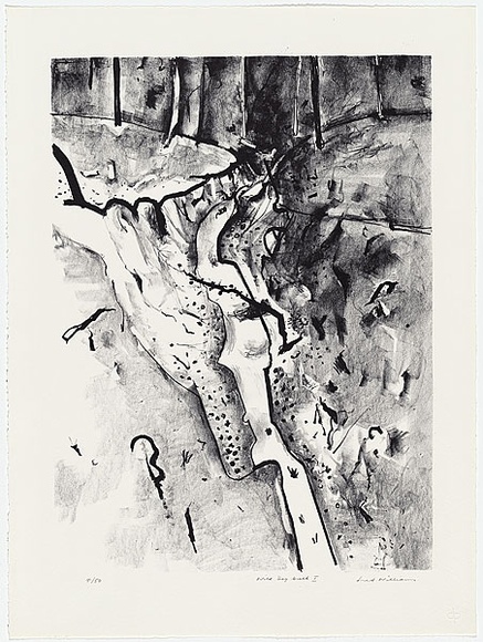Artist: b'WILLIAMS, Fred' | Title: b'Wild Dog Creek I' | Date: 1977-78 | Technique: b'lithograph, printed in black ink, from one plate' | Copyright: b'\xc2\xa9 Fred Williams Estate'