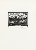 Artist: Frazer, David. | Title: Marcus J. Littlewood | Date: c.2001 | Technique: wood-engraving, printed in black in, from one block