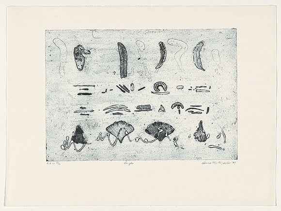 Artist: b'McMaster, Anne.' | Title: b'Gingko' | Date: 1989 | Technique: b'collagraph, printed in blue ink, from one plate'