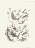 Artist: b'Pilgrim, Catherine.' | Title: b'not titled [Vietnamese fabric]' | Date: 2000, April | Technique: b'lithograph, printed in black ink, from one stone'