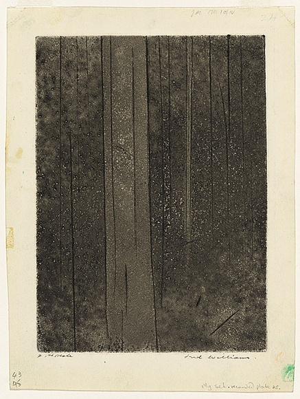 Artist: b'WILLIAMS, Fred' | Title: b'Forest' | Date: 1958 | Technique: b'etching, aquatint, engraaving, printed in black ink, from one copper plate; touced with pencil' | Copyright: b'\xc2\xa9 Fred Williams Estate'