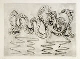 Artist: SHEARER, Mitzi | Title: They pleaded ignorance. First part | Date: c.1984 | Technique: etching, printed in black ink with plate-tone, from one  plate