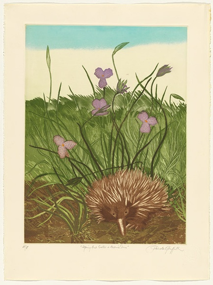 Artist: b'GRIFFITH, Pamela' | Title: b'Spiny ant eater and Native iris' | Date: 1984 | Technique: b'hard ground, aquatint, soft ground on two zinc' | Copyright: b'\xc2\xa9 Pamela Griffith'