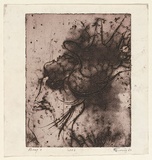 Artist: EWINS, Rod | Title: Web. | Date: 1967 | Technique: etching, softground etching and burin engraving, printed in black ink, from one plate