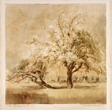 Artist: FULLWOOD, A.H. | Title: Smiling spring. | Date: 1906 | Technique: monotype, printed in colour, from one plate