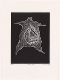 Artist: Cullen, Adam. | Title: Dead clown | Date: 2001 | Technique: relief-etching, printed in black ink, from one plate