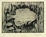Artist: Allen, Joyce. | Title: (Fishes). | Date: (1960-62) | Technique: etching and aquatint printed in black ink with plate-tone, from one  plate