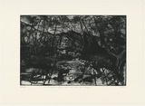 Artist: b'Thirkell, Christine.' | Title: b'Random destructions leading to order found within the landscape' | Date: 1992, June | Technique: b'etching and drypoint, printed in black ink, from one plate'