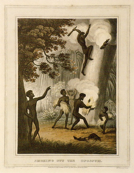 Title: b'Smoking out the opossum.' | Date: 1813 | Technique: b'etching and aquatint, printed in black ink, from one copper plate; hand- coloured'