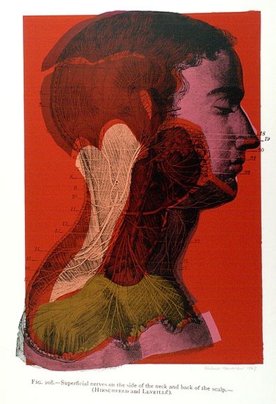 Artist: b'HANRAHAN, Barbara' | Title: b'not titled' | Date: 1967 | Technique: b'screenprint, printed in colour, from seven stencils'