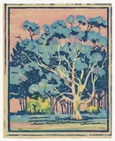 Artist: b'Mills, Frank.' | Title: b'(Tree, University of Western Australia)' | Date: c.1949 | Technique: b'linocut, printed in colour, from mutliple blocks'