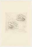 Title: b'Some shells' | Date: 1982 | Technique: b'drypoint, printed in black ink, from one perspex plate'