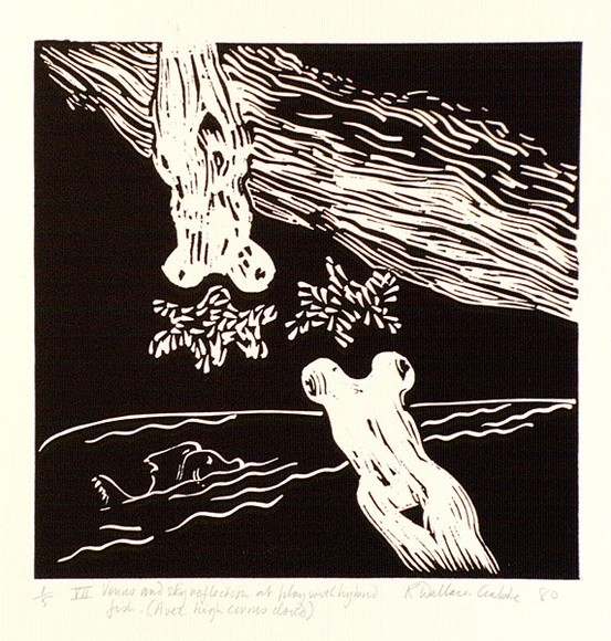 Artist: b'Wallace-Crabbe, Robin.' | Title: b'not titled [VII Venus and sky reflection ... with high cirrus cloud].' | Date: 1980 | Technique: b'linocut, printed in black ink, from one block' | Copyright: b'\xc2\xa9 Robin Wallace-Crabbe, Licensed by VISCOPY, Australia'