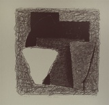 Artist: LINCOLN, Kevin | Title: Pink shell | Date: 1985 | Technique: lithograph, printed in black ink, from one stone