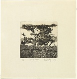 Title: bGod's walk | Date: 1964 | Technique: b'etching and aquatint, printed in black ink with plate-tone, from one plate'