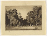 Artist: b'LINDSAY, Lionel' | Title: b'The timber belt' | Date: 1919 | Technique: b'etching, printed in brown ink with plate-tone, from one plate' | Copyright: b'Courtesy of the National Library of Australia'