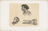 Artist: b'Le Breton, Louis.' | Title: b'Torres Strait Islander and masks' | Technique: b'lithograph, printed in black ink, from one stone'